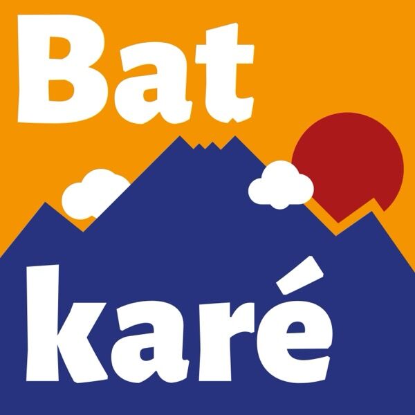 Pochette de Bat karé